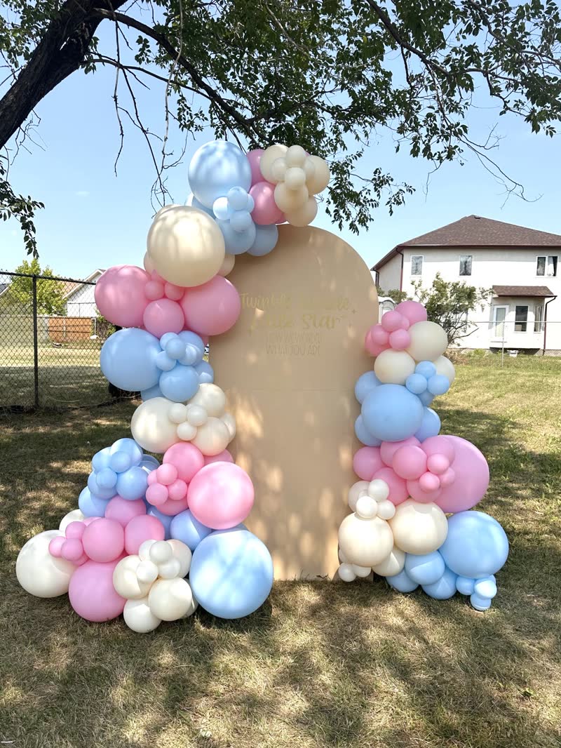Pastel butterfly-themed balloon garland and backdrop in Winnipeg